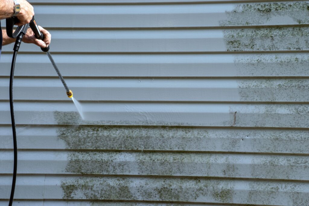 Professional Siding Cleaning